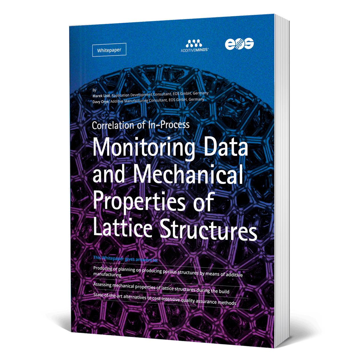 cover-whitepaper-lattice-monitoring